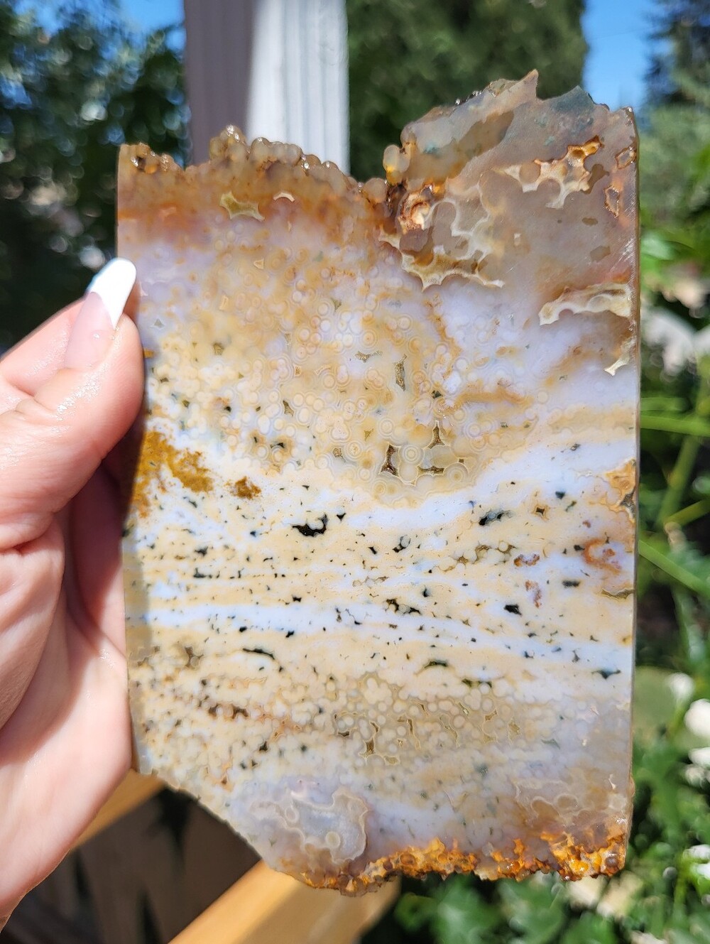 Big Ocean Jasper Jelly Slab